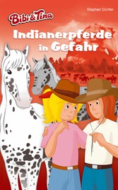 Bibi & Tina - Indianerpferde in Gefahr