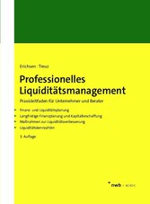 Professionelles Liquiditätsmanagement