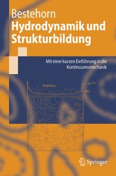 Hydrodynamik und Strukturbildung