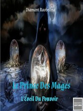 Le Prince Des Mages