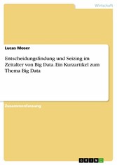 Entscheidungsfindung und Seizing im Zeitalter von Big Data. Ein Kurzartikel zum Thema Big Data