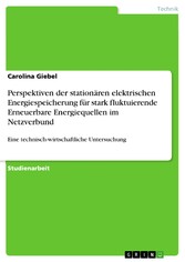 Perspektiven der stationären elektrischen Energiespeicherung für stark fluktuierende Erneuerbare Energiequellen im Netzverbund