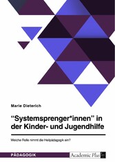 'Systemsprenger*innen' in der Kinder- und Jugendhilfe. Welche Rolle nimmt die Heilpädagogik ein?