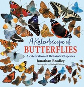 A Kaleidoscope of Butterflies