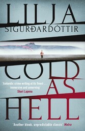 Cold as Hell: The breakout bestseller, first in the addictive An Áróra Investigation series