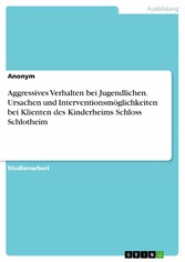 Aggressives Verhalten bei Jugendlichen. Ursachen und Interventionsmöglichkeiten bei Klienten des Kinderheims Schloss Schlotheim