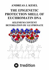 THE EPIGENETIC PROTECTION SHELL OF EUCHROMATIN DNA