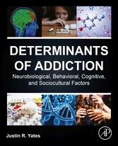 Determinants of Addiction