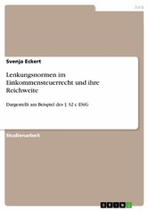 Lenkungsnormen im Einkommensteuerrecht und ihre Reichweite