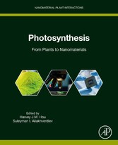 Photosynthesis