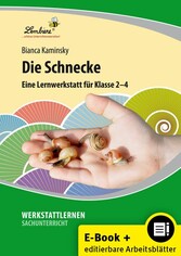 Die Schnecke