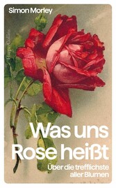 Was uns Rose heißt. Über die trefflichste aller Blumen