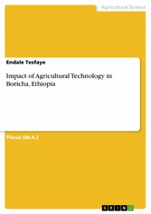 Impact of Agricultural Technology in Boricha, Ethiopia