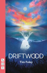 Driftwood (NHB Modern Plays)