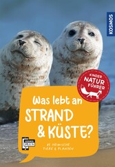 Was lebt an Strand und Küste? Kindernaturführer