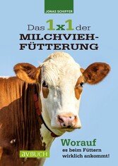 Das 1x1 der Milchviehfütterung