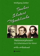 Brahms, Schubert, Mendelssohn: Melomorphosen - Früchte der Musikmeditation, sichtbar gemachte Informationsmatrix ausgewählter Musikstücke, Gestaltwerkzeuge für Musikhörer; ohne Verwendung von Noten