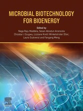 Microbial Biotechnology for Bioenergy