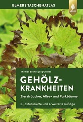 Gehölzkrankheiten