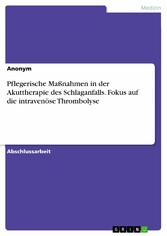 Pflegerische Maßnahmen in der Akuttherapie des Schlaganfalls. Fokus auf die intravenöse Thrombolyse