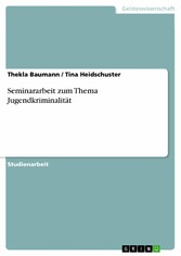 Seminararbeit zum Thema Jugendkriminalität