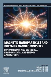 Magnetic Nanoparticles and Polymer Nanocomposites