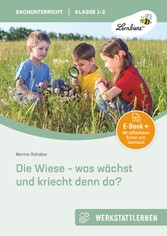 Die Wiese - was wächst und kriecht denn da?