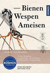 Bienen, Wespen, Ameisen