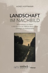 Landschaft im Nachbild