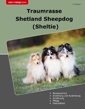 Traumrasse Shetland Sheepdog