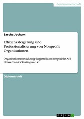 Effizienzsteigerung und Professionalisierung von Nonprofit Organisationen.