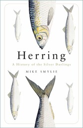 Herring