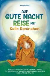 Auf Gute-Nacht-Reise mit Kalle Kaninchen