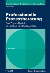 Professionelle Prozessberatung