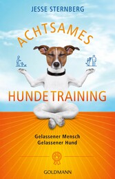 Achtsames Hundetraining