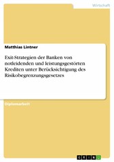 Exit-Strategien der Banken von notleidenden und leistungsgestörten Krediten unter Berücksichtigung des Risikobegrenzungsgesetzes