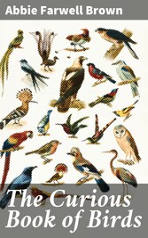 The Curious Book of Birds