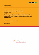 Bilanzanalyse mit Kennzahlen - Auswirkungen des Bilanzmodernisierungsgesetzes auf die Kennzahlen Interpretation