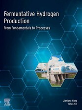 Fermentative Hydrogen Production