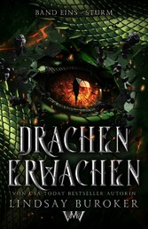 Drachen erwachen - der Fantasy Bestseller