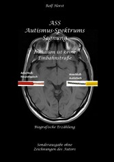 ASS Autismus-Spektrums-Segnung - Inklusion ist keine Einbahnstraße: hochfunktionaler Autismus, Mobbing, Trauma, Sucht, Häusliche Gewalt, Psychotherapie, Umzug, Inklusion, Katholische Kirche, Zen