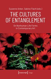 The Cultures of Entanglement