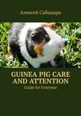 Guinea pig care and attention