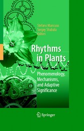 Rhythms in Plants