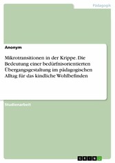 Mikrotransitionen in der Krippe. Die Bedeutung einer bedürfnisorientierten Übergangsgestaltung im pädagogischen Alltag für das kindliche Wohlbefinden