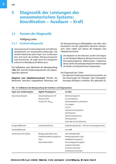 Sensomotorisches System