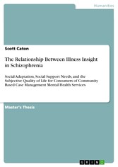 The Relationship Between Illness Insight in Schizophrenia