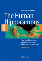 The Human Hippocampus