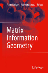 Matrix Information Geometry