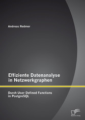 Effiziente Datenanalyse in Netzwerkgraphen: Durch User Defined Functions in PostgreSQL